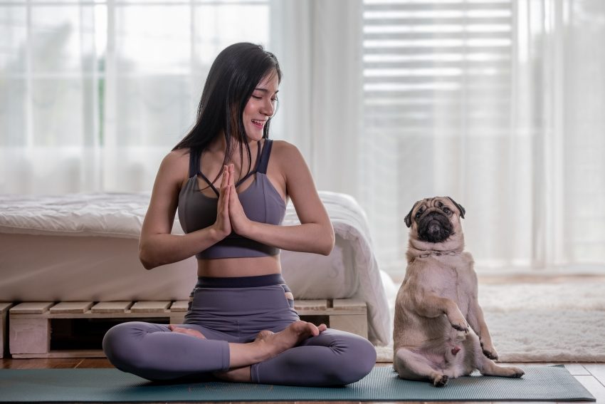 yoga per cani