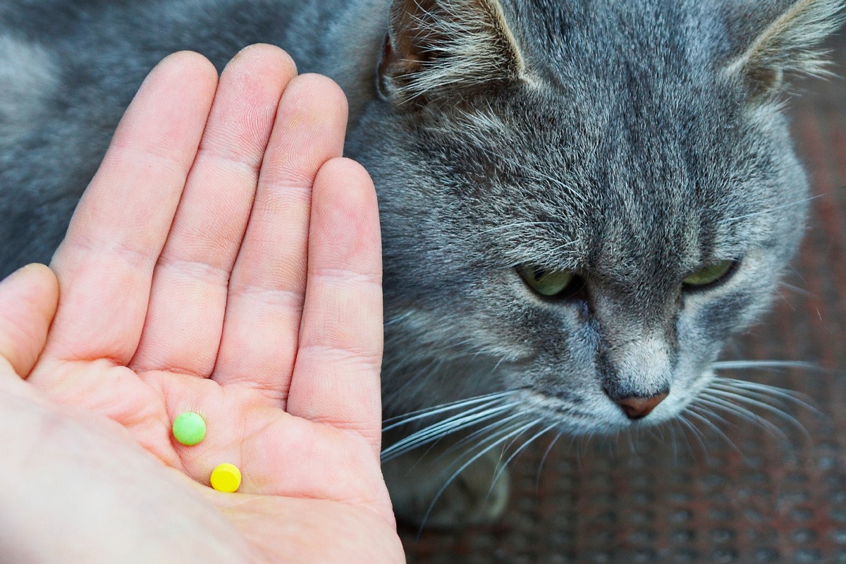 supporti vitaminici per pet